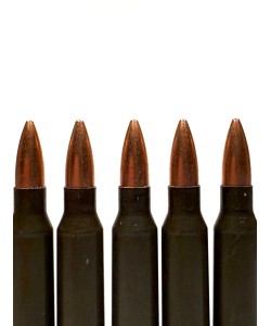 Патрон учебный  5,56х45 (223.REM NATO) 5 штук
