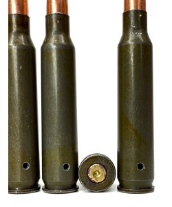 Патрон учебный  5,56х45 (223.REM NATO) 5 штук