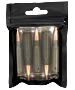 Патрон учебный 7,62x39 (АК-47) 5 штук