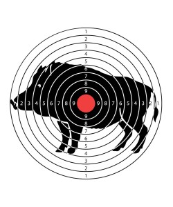 Мишени для пневматики BG «Кабан» 170x170 мм (100 штук)