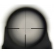 Оптический прицел Nikko Stirling Diamond 1-4x24, 30 мм, No 4 dot, подсветка - фото № 7