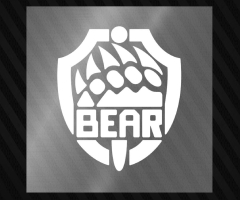 Bear Arena