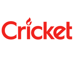Cricket