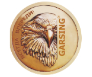 Garsing